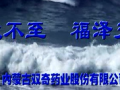 內(nèi)蒙古雙奇藥業(yè) (442播放)